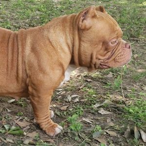 Meet your Posher, Melvin